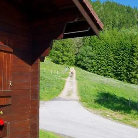 Familial A La Bresse, Proche Randonnees, Wifi, Animaux Admis Landhaus La Bresse