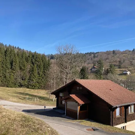 Familial A La Bresse, Proche Randonnees, Wifi, Animaux Admis * La Bresse