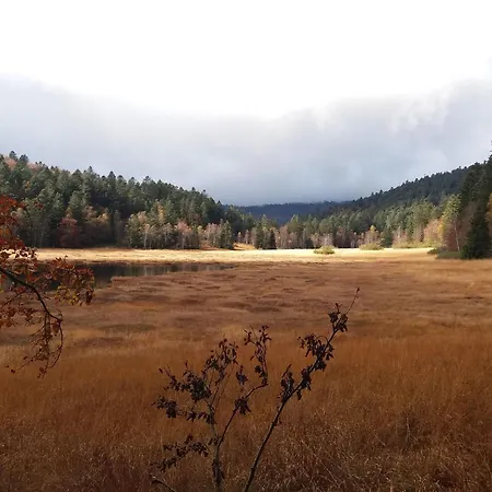 度假居 Familial A La Bresse, Proche Randonnees, Wifi, Animaux Admis - Fr-1-589-425