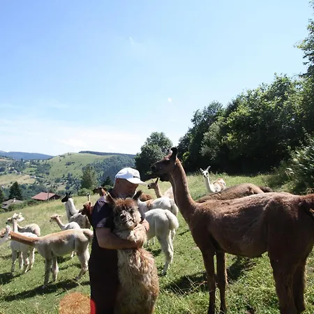 Landhaus Familial A La Bresse, Proche Randonnees, Wifi, Animaux Admis La Bresse