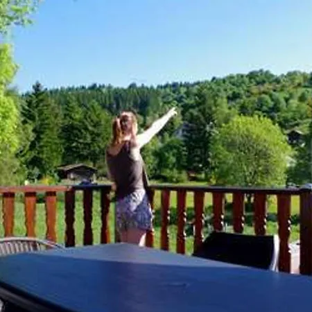 Familial A La Bresse, Proche Randonnees, Wifi, Animaux Admis Landhaus *
