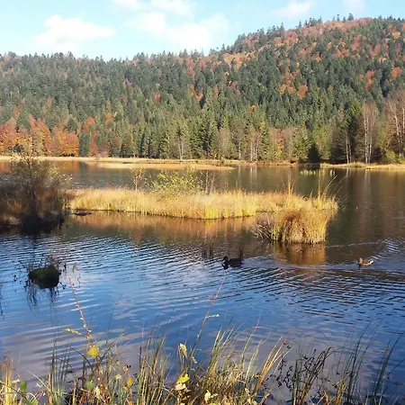 Familial A La Bresse, Proche Randonnees, Wifi, Animaux Admis - Fr-1-589-425 拉布雷斯