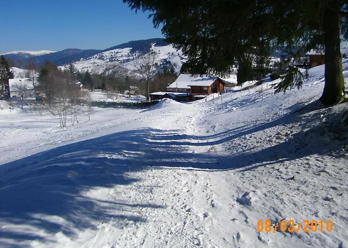 Hébergement de vacances Familial à La Bresse, Proche Randonnées, Wifi, Animaux Admis - Fr-1-589-425 La Bresse