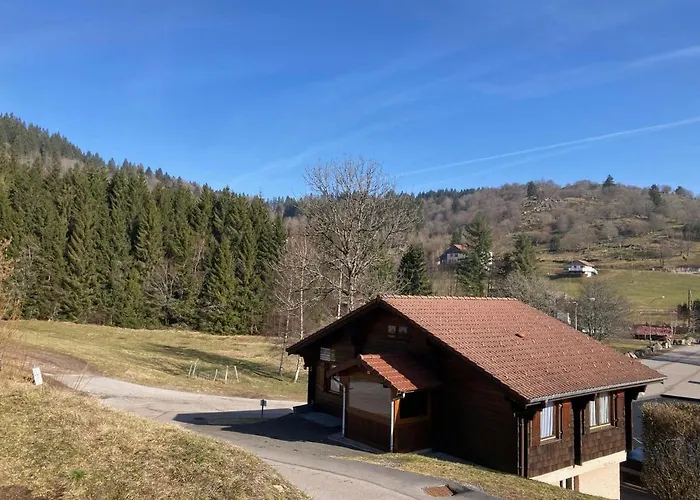 Familial à La Bresse, Proche Randonnées, Wifi, Animaux Admis - Fr-1-589-425 * La Bresse