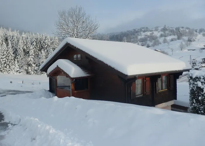 Familial à La Bresse, Proche Randonnées, Wifi, Animaux Admis - Fr-1-589-425 * La Bresse