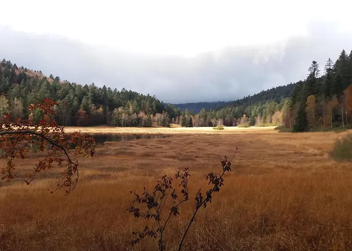 Hébergement de vacances Familial à La Bresse, Proche Randonnées, Wifi, Animaux Admis - Fr-1-589-425