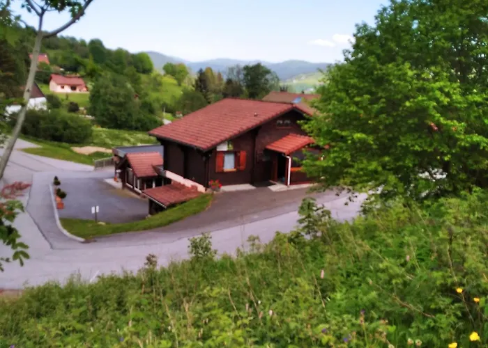 Hébergement de vacances Familial à La Bresse, Proche Randonnées, Wifi, Animaux Admis - Fr-1-589-425 La Bresse