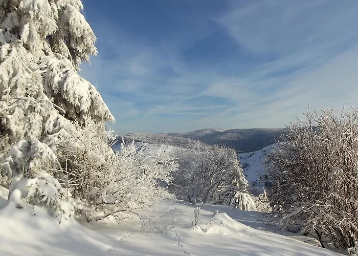 Familial A La Bresse, Proche Randonnees, Wifi, Animaux Admis - Fr-1-589-425 * La Bresse