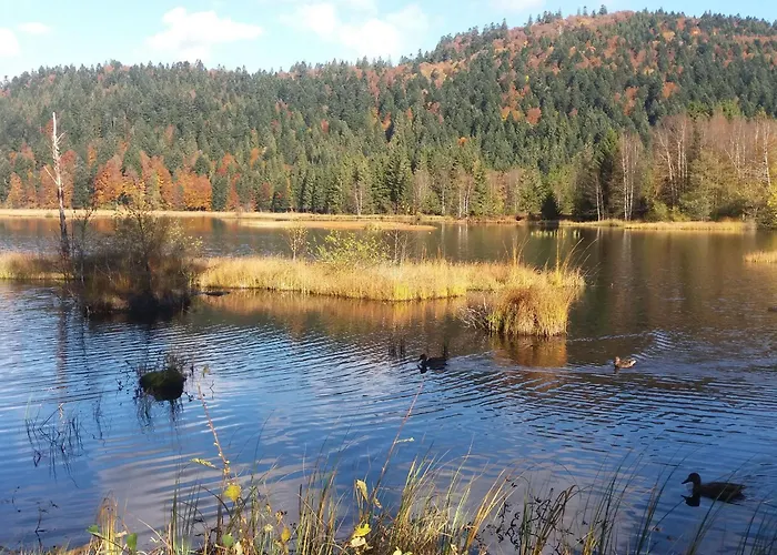 Familial A La Bresse, Proche Randonnees, Wifi, Animaux Admis - Fr-1-589-425 La Bresse